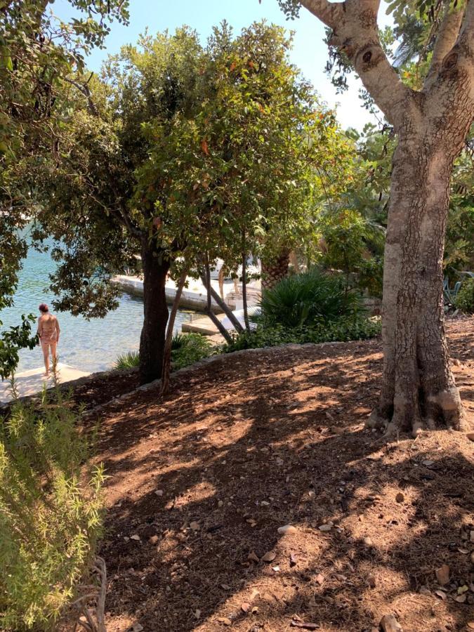 Apartament Safirus Korčula Zewnętrze zdjęcie